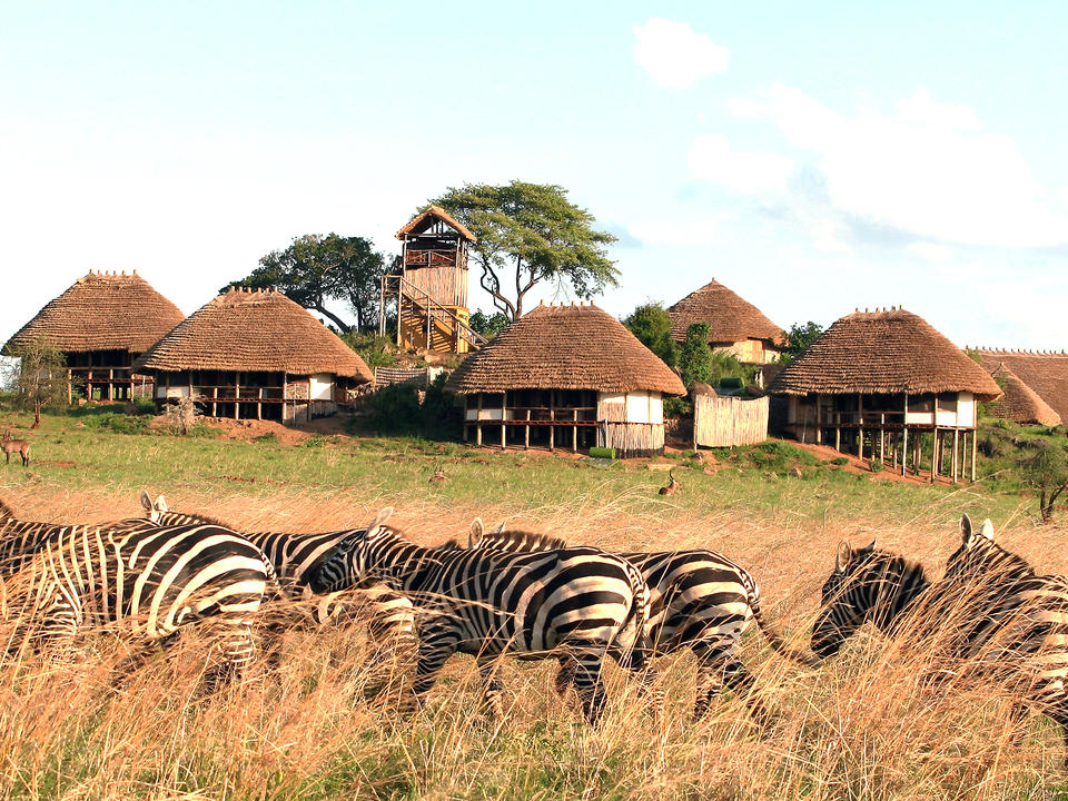 Game Drives in Kidepo