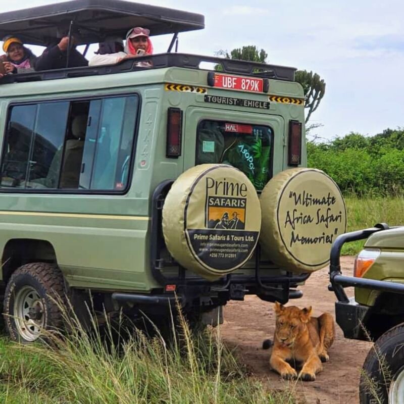 Top Uganda Safari Companies