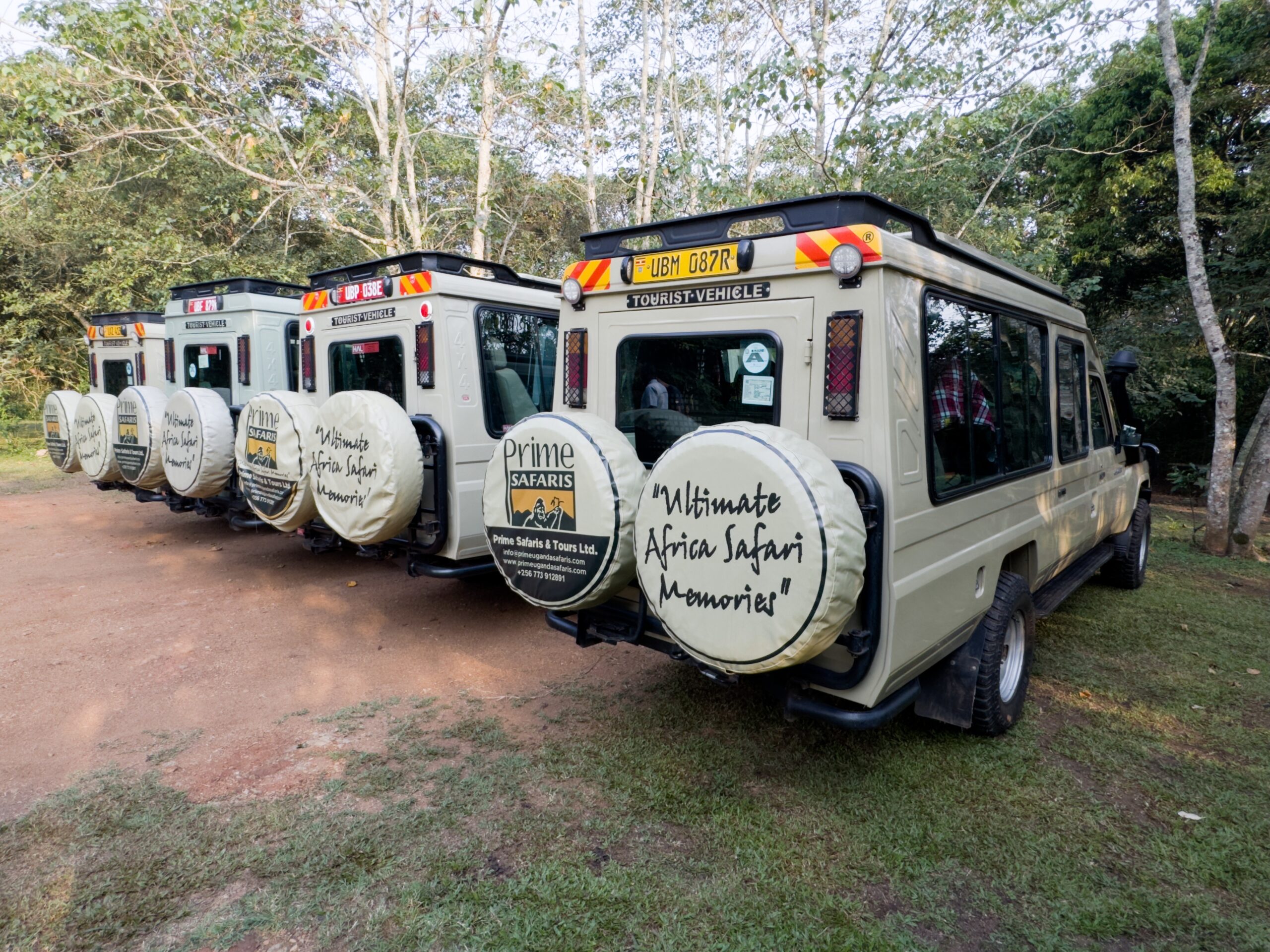 Best Tanzania Safari Companies